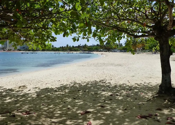 9 Hotel Ocho Rios